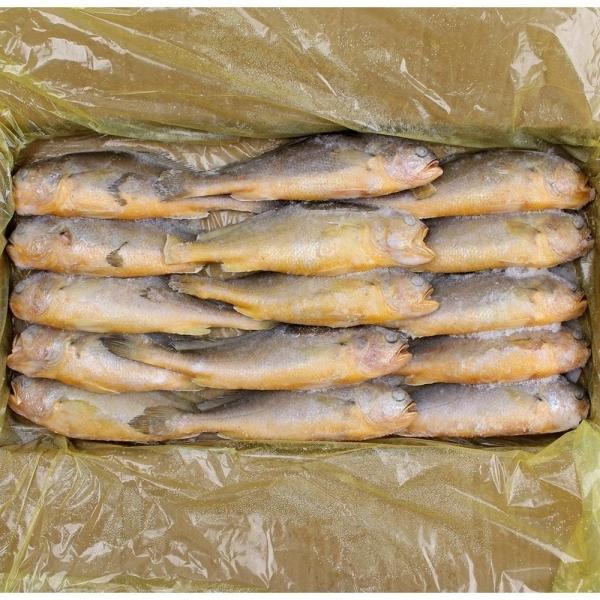 명진수산 냉동 조기 약15미 3.5KG 200 300 제수용
