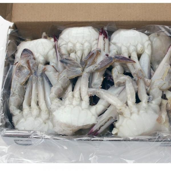 헬로우피셔 냉동 절단 손질 꽃게 450g 12팩 2L 박스