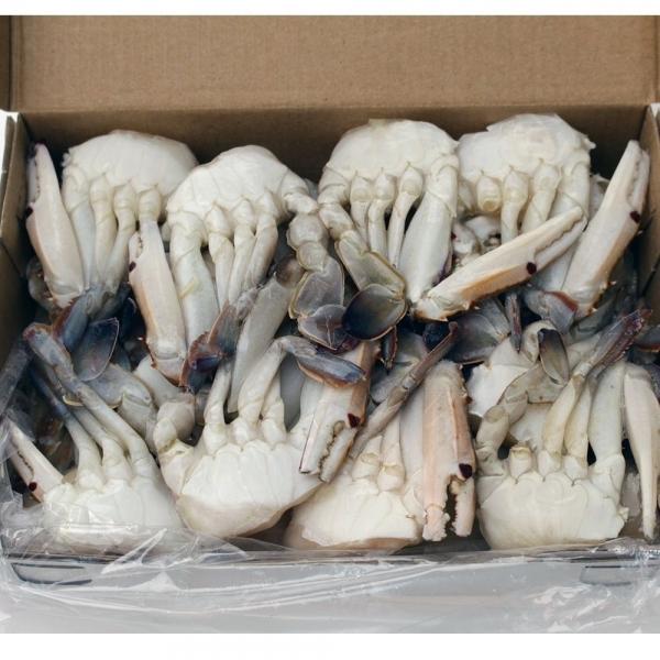 냉동 절단 손질 꽃게 450g 12팩 L 박스
