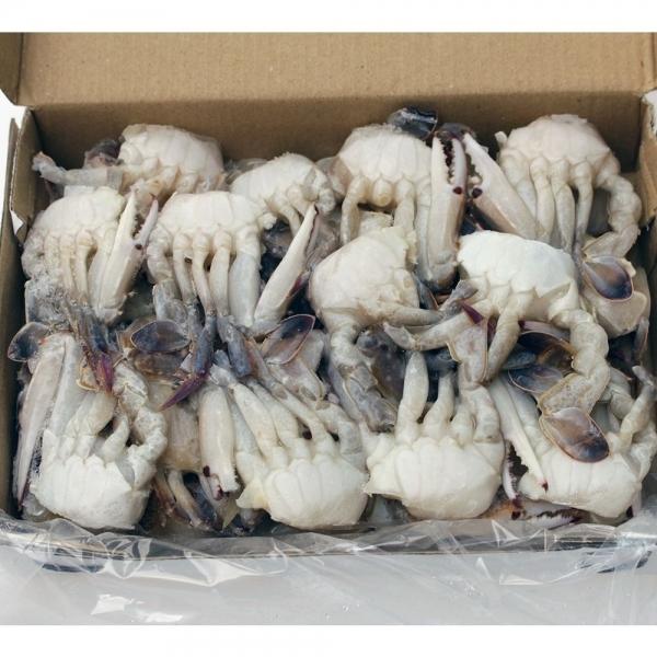 헬로우피셔 냉동 손질 절단 꽃게 450g S 2팩