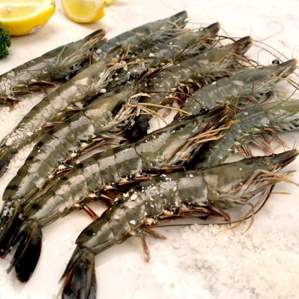 JK무역 홍다리 블랙타이거 새우 500G 10미