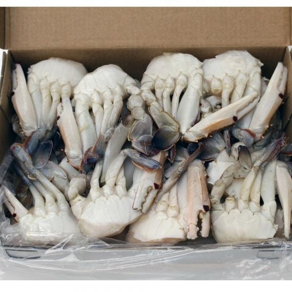헬로우피셔 냉동 손질 절단 꽃게 450g L 2팩