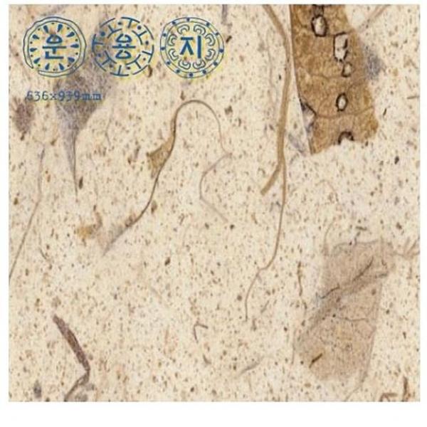 한지로응용한지1 망고지 5장 - 31615