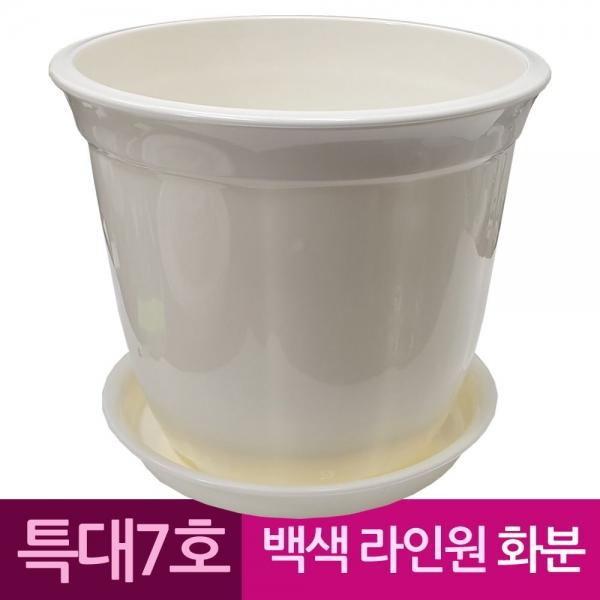 라인원형 백색 도자기느낌 플라스틱화분 7호 A