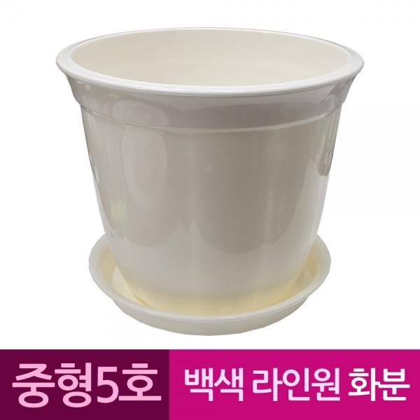 라인원형 백색 도자기느낌 플라스틱화분 5호 A