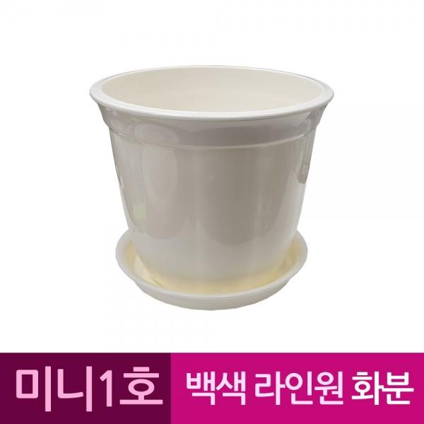 라인원형 백색 도자기느낌 플라스틱화분 1호 A