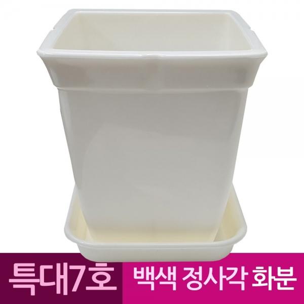정사각 백색 도자기느낌 플라스틱화분 7호 A