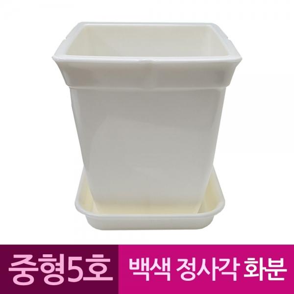 정사각 백색 도자기느낌 플라스틱화분 5호 A