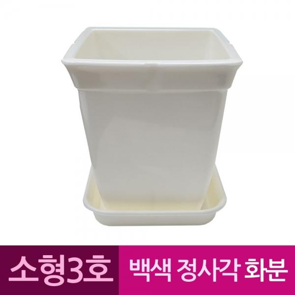 정사각 백색 도자기느낌 플라스틱화분 3호 A