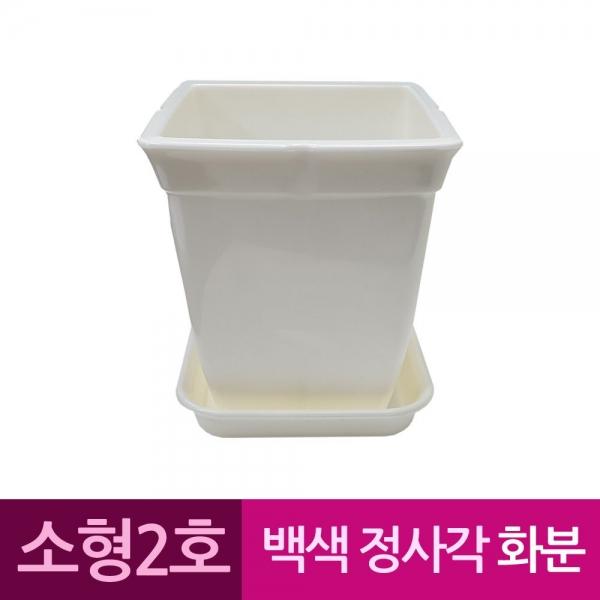 정사각 백색 도자기느낌 플라스틱화분 2호 A
