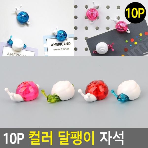 10P 컬러 달팽이 자석