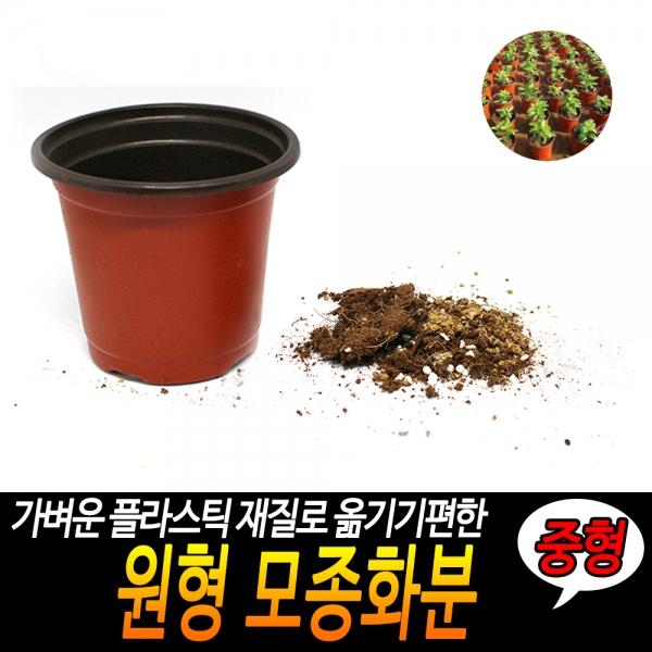 원형 모종화분 중형