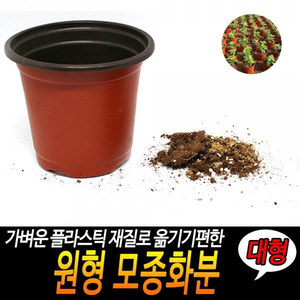 원형 모종화분 대형
