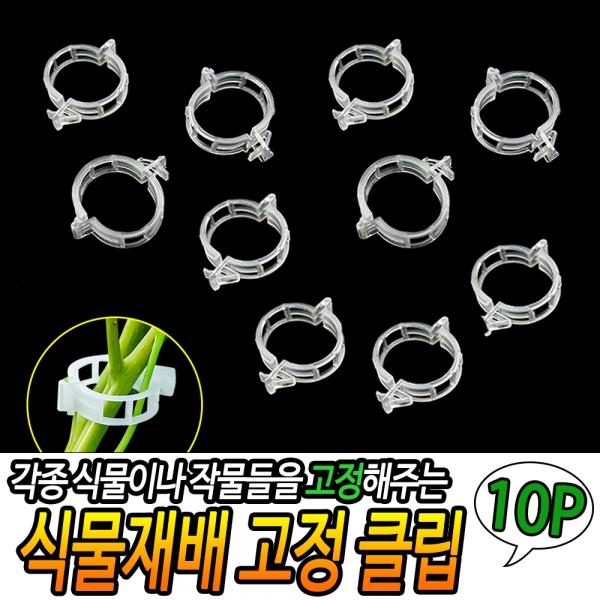 식물재배 고정클립 10P