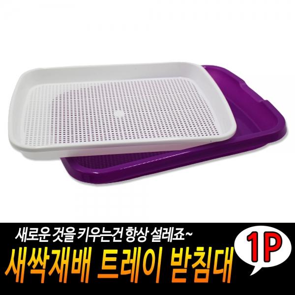 새싹재배 트레이 받침대