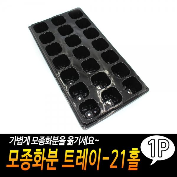 모종화분 트레이-21홀