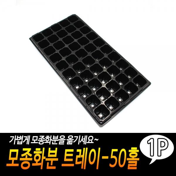 모종화분 트레이-50홀