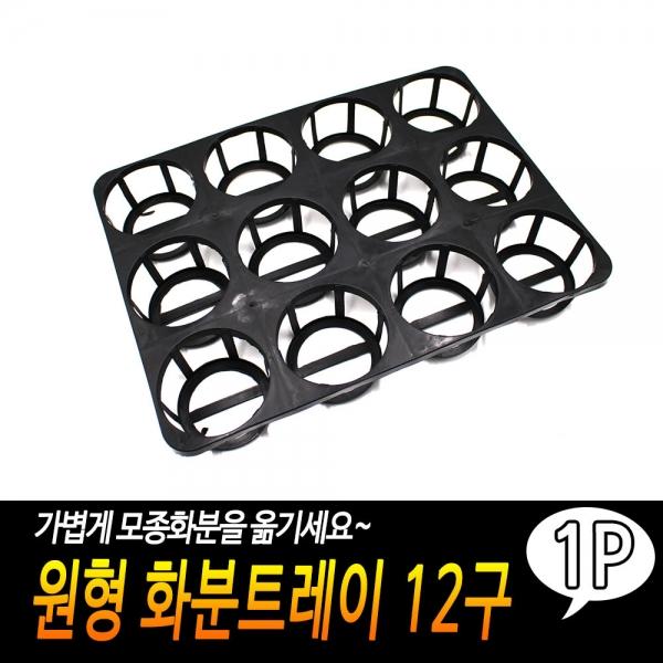 원형 화분트레이 12구