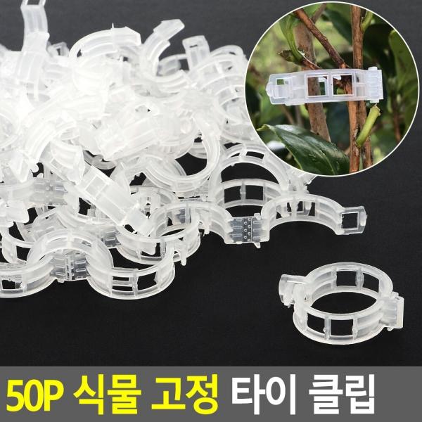 50P 식물 고정 타이 클립