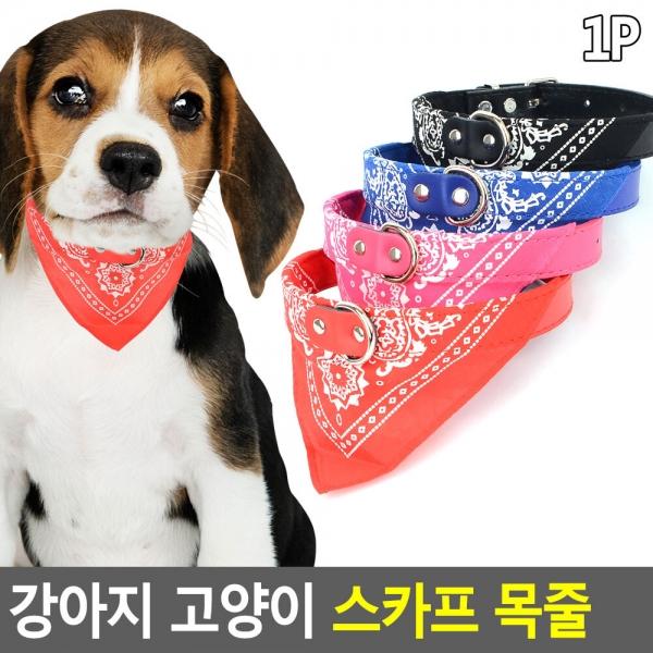 강아지 고양이 스카프 목줄
