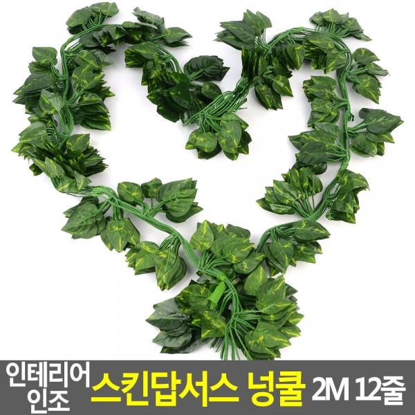 인테리어 인조 스킨답서스 넝쿨 2M 12줄
