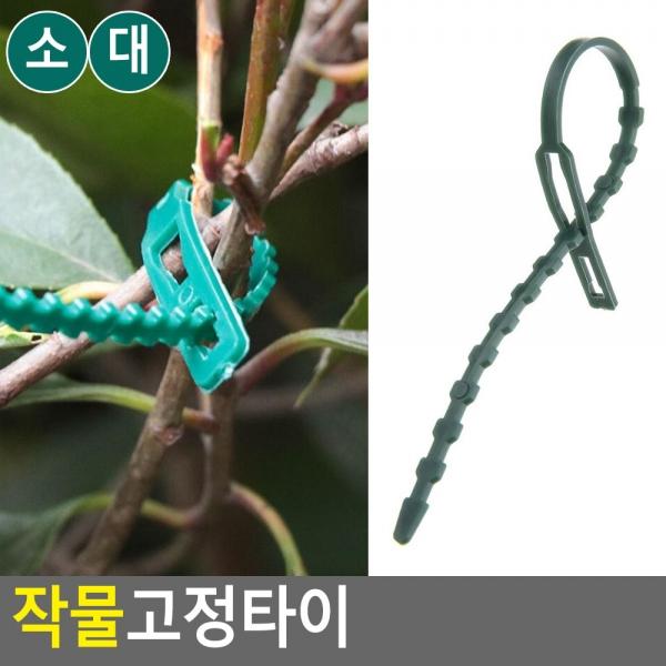 작물고정타이