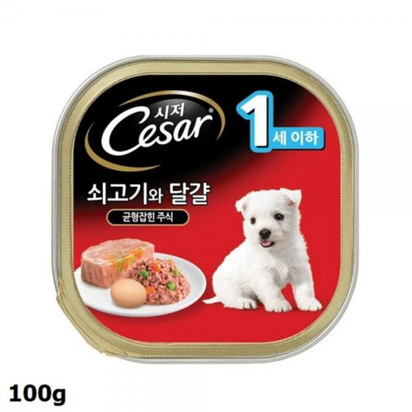 시저 주식캔 1세이하 100g 1개 쇠고기와 달걀