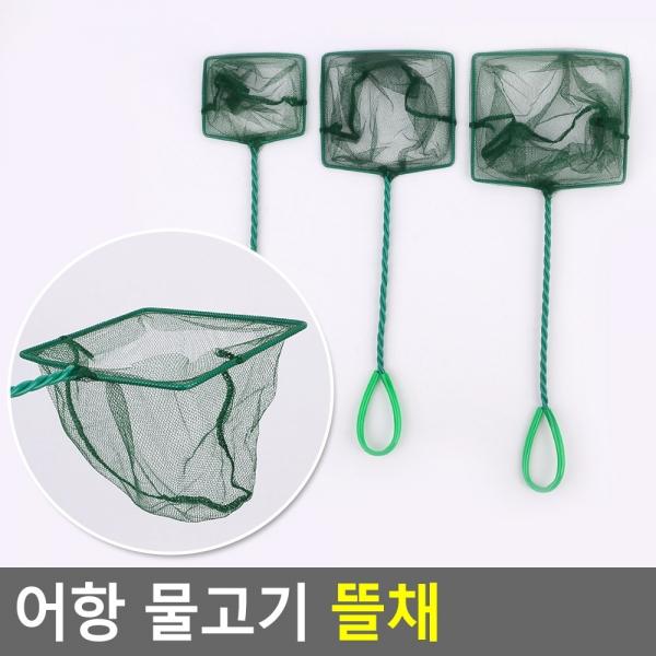 어항 물고기 뜰채