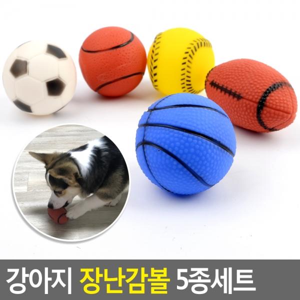 강아지 장난감볼 5종세트