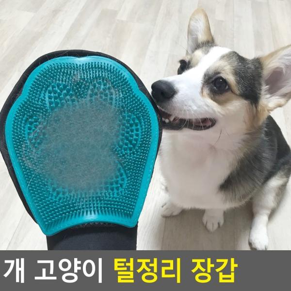 개 고양이 털정리 장갑
