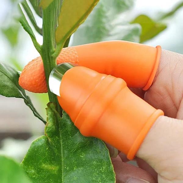 OC1018 고추수확 야채손질 칼날골무1P+받침골무5P세트