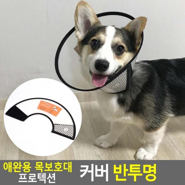 애완용 목보호대 프로텍션 커버 반투명
