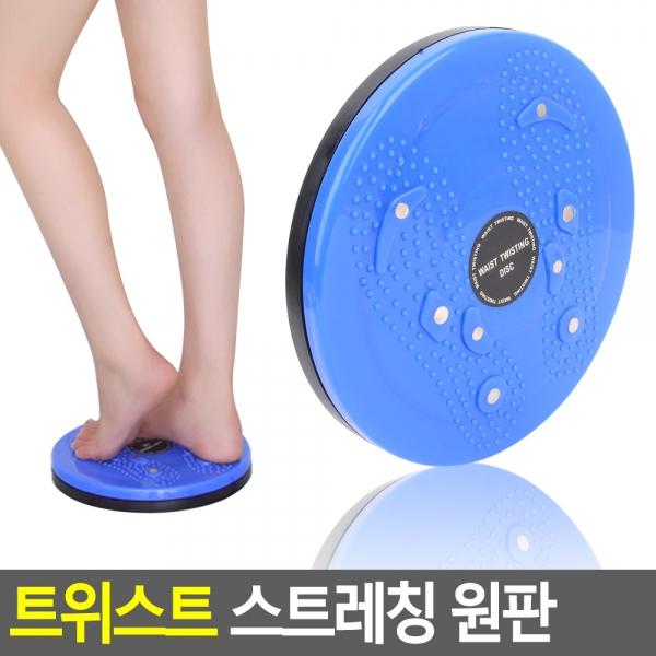 트위스트 스트레칭 원판