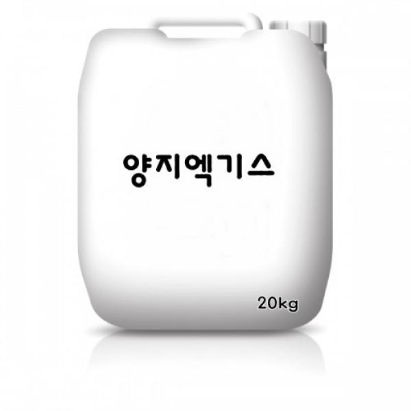 양지엑기스 20kg