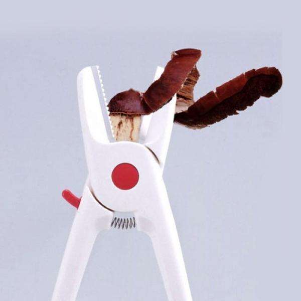 가쿠리 밤까기 가위 64024