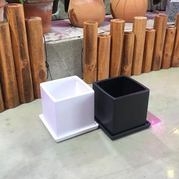 모던 무광 도기화분 정사각 13x13x13cm