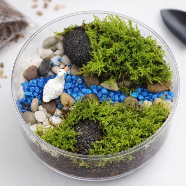 글로벌이지 깃털이끼 테라리움  10인용