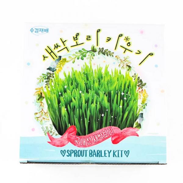 214B,215B] 7000 새싹 보리 키우기 (4개세트)