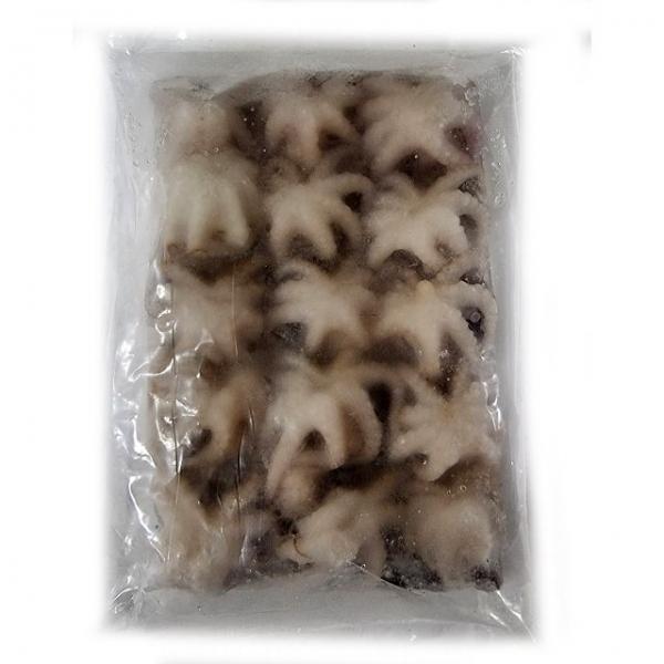 냉동 쭈꾸미 우럭낚시 미끼