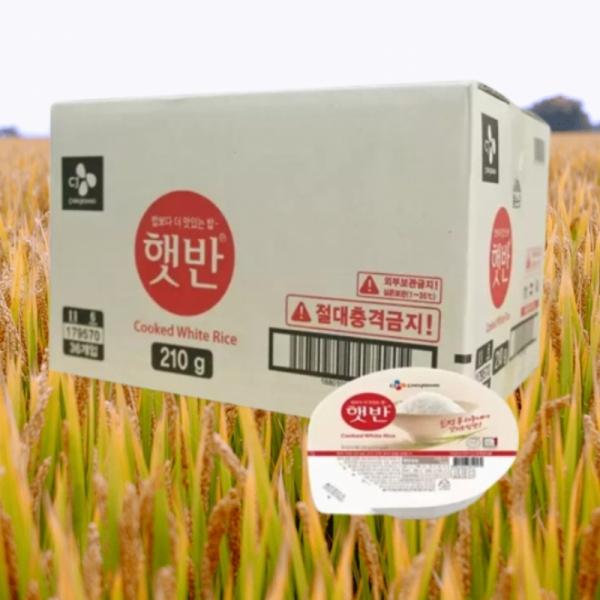 CJ햇반 210g x 6개