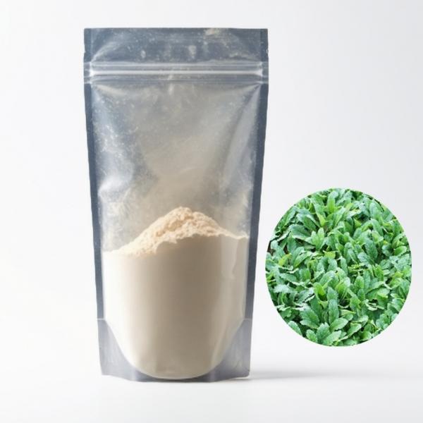 곰보배추추출분말 20kg