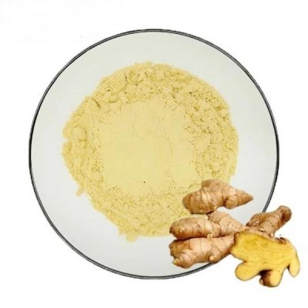 갈랑갈추출분말 1kg