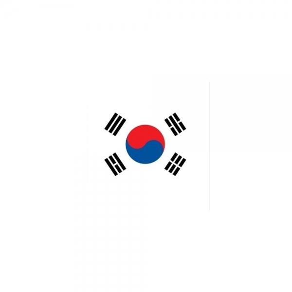 f20 80608 태극기 시트지 접착형 중(300-450) 1개 1개입