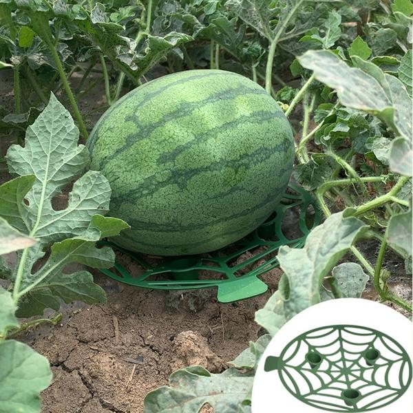수박 참외 호박 무름방지 받침 20cm(5개1셋트)