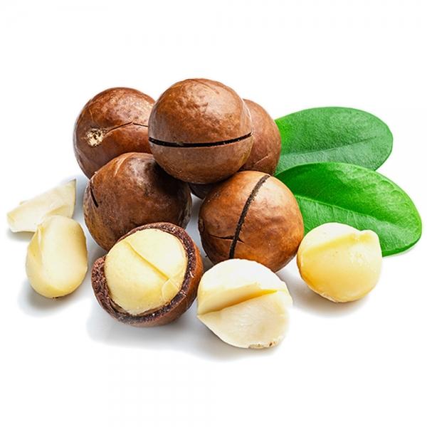 통마카다미아 500g 까먹는 껍질 마카다미아 베트남