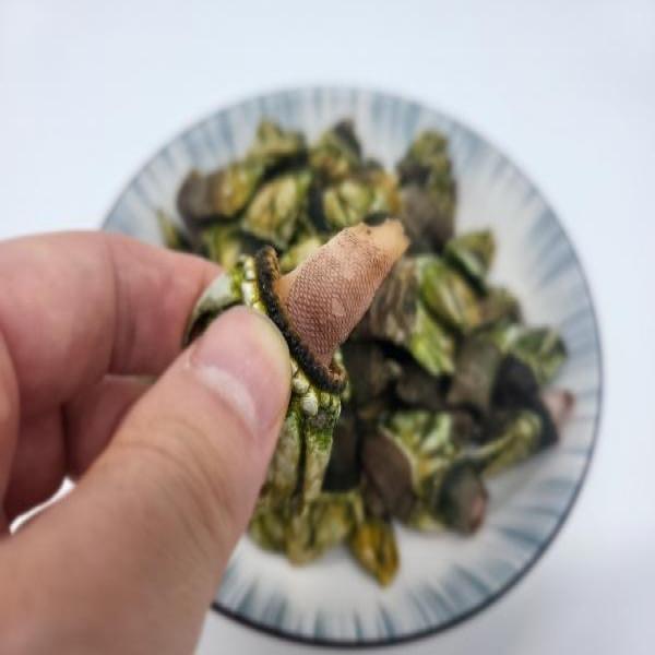 거북손 1kg