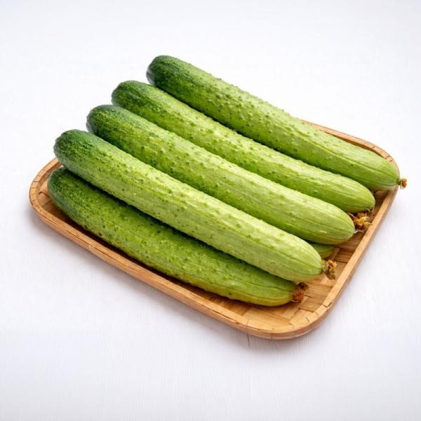 아삭하고 수분 가득한 백다다기 오이 4.5kg