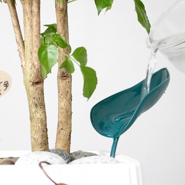 나뭇잎 물조리개