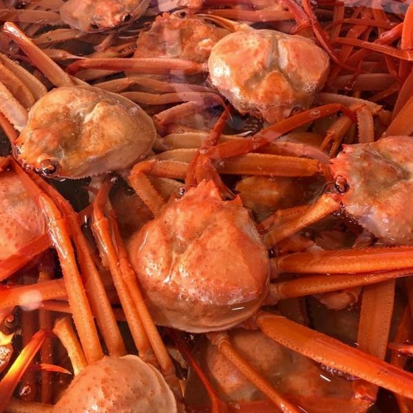 자숙 홍게 3kg 프리미엄