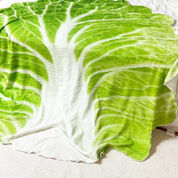 블랭킷 특이한선물 음식담요 쇼파 배춧잎담요